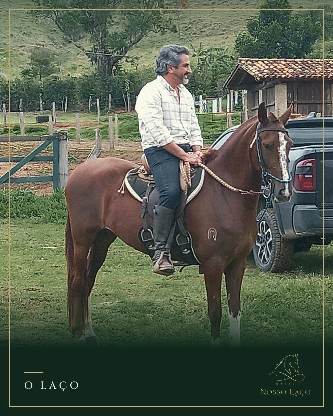 Cavaleiro e cavalo em um momento de tranquilidade